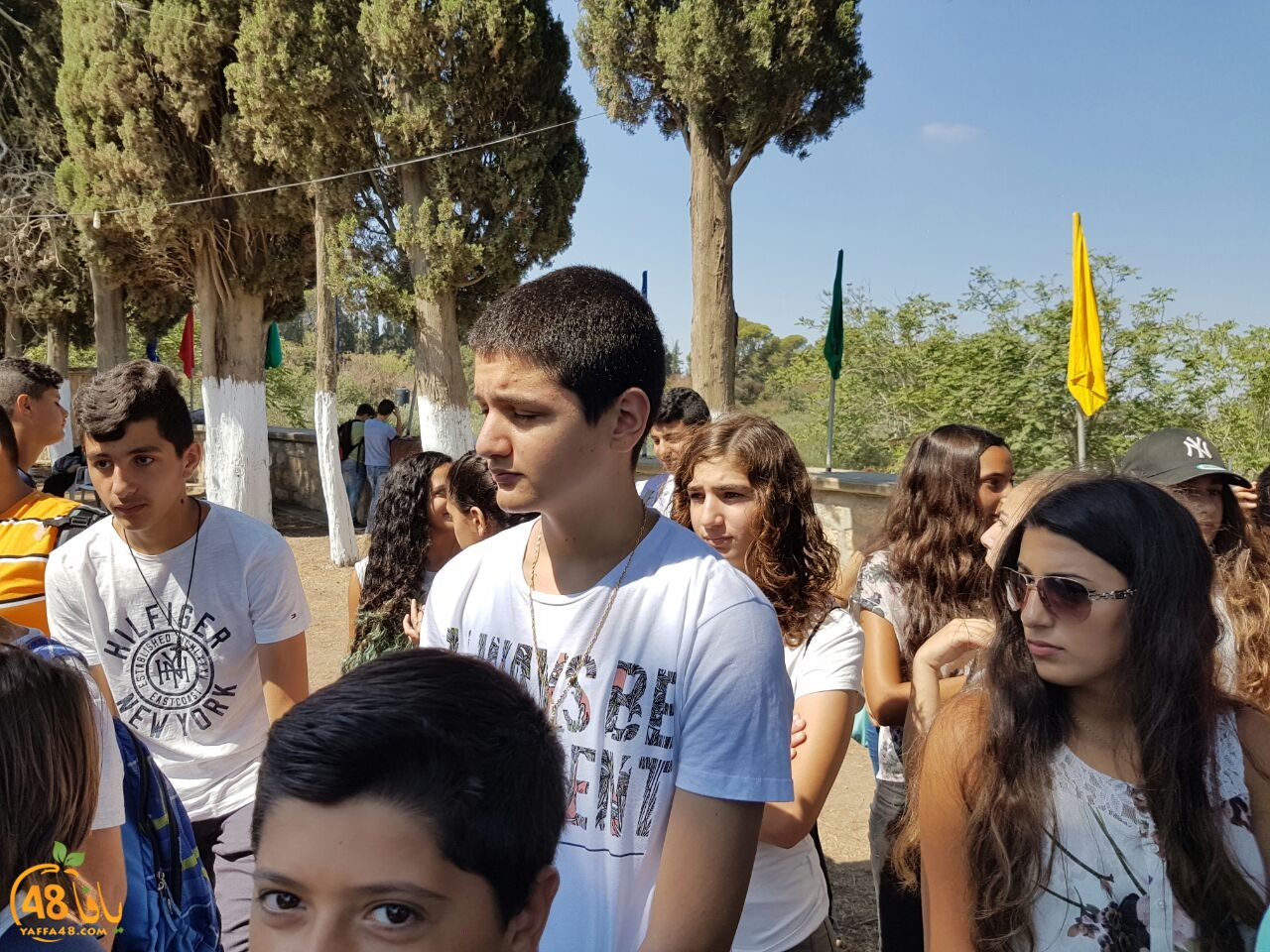 kanizsa yaffa (6).jpg